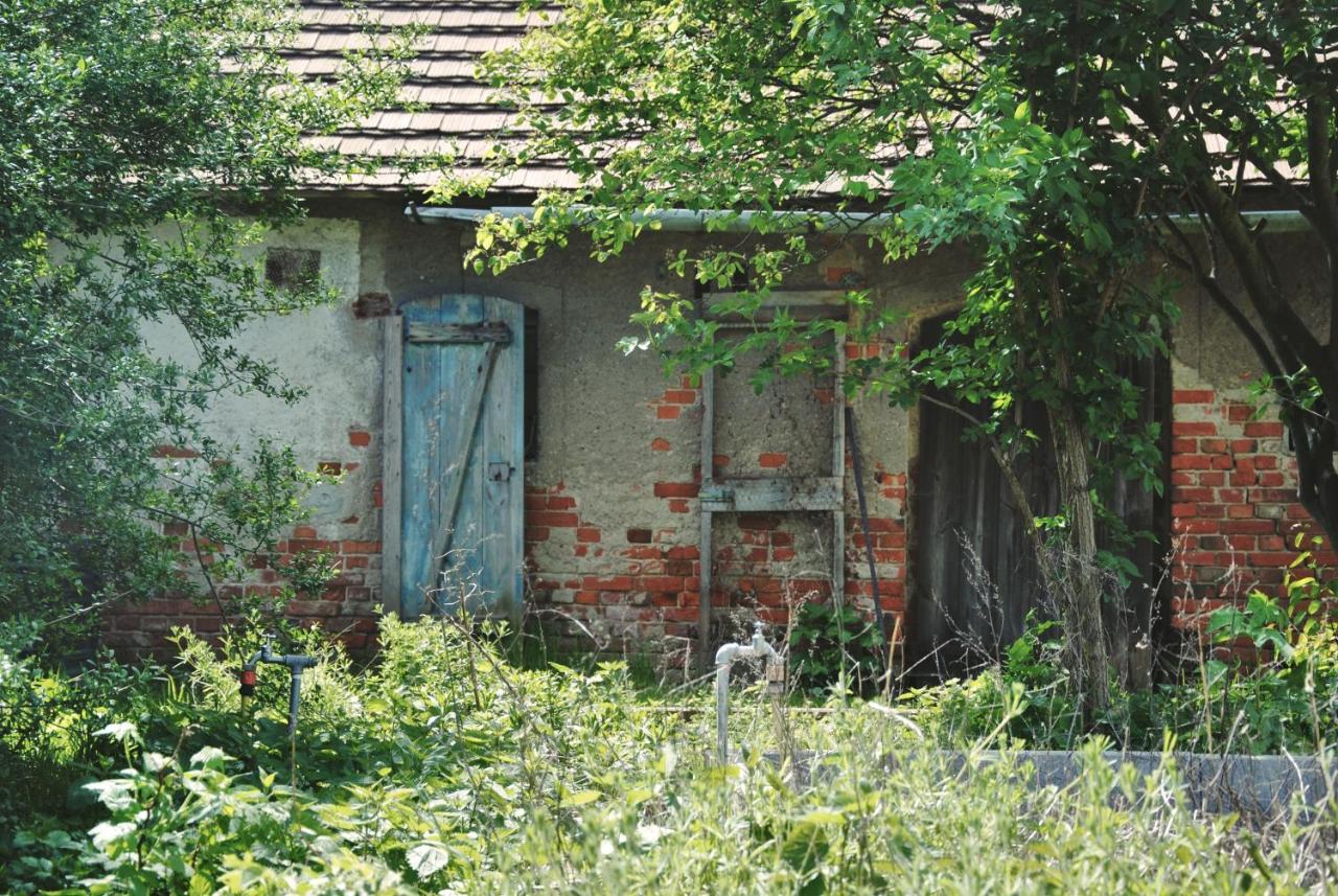 Ferienhaus Erna Doberlug-Kirchhain Dış mekan fotoğraf