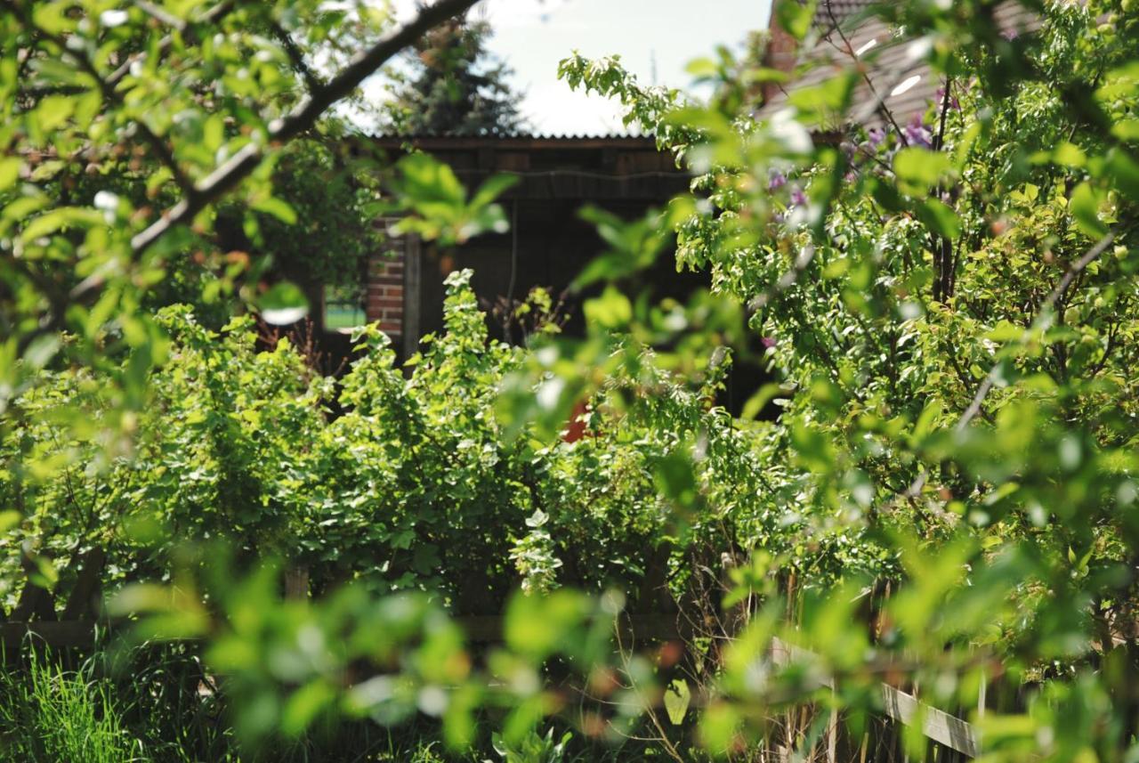 Ferienhaus Erna Doberlug-Kirchhain Dış mekan fotoğraf